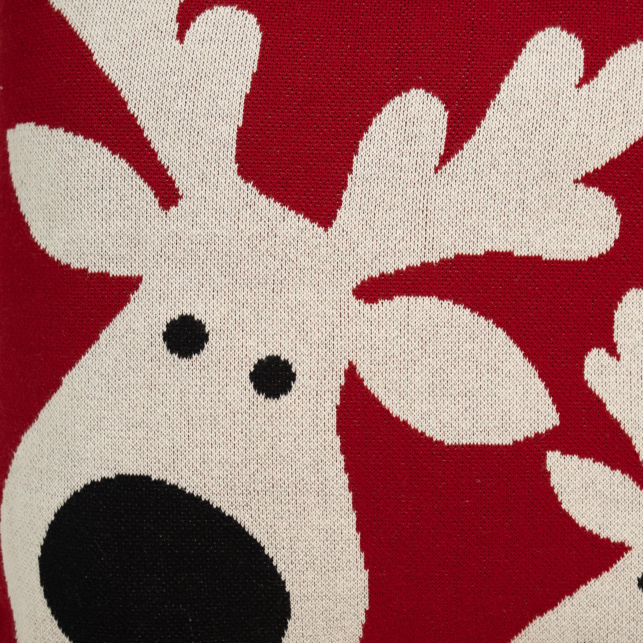 Jolly Cushion Cover 
